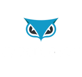 Cybereason Logo